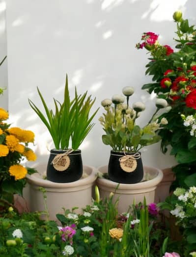 Artificial plants and frames