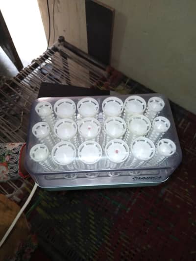 hair rollers beauty' item