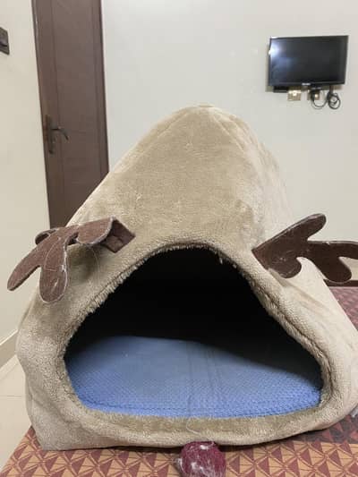 cat bed