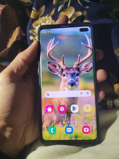 s10 plus official PTA approved