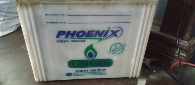 Phoenix 65 Amp 11 plates per cell battery for sale