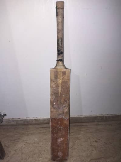 hard ball bat