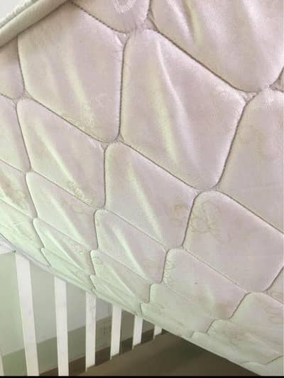 Baby cote junior’s baby got for sale