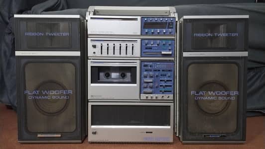 Pioneer sound system