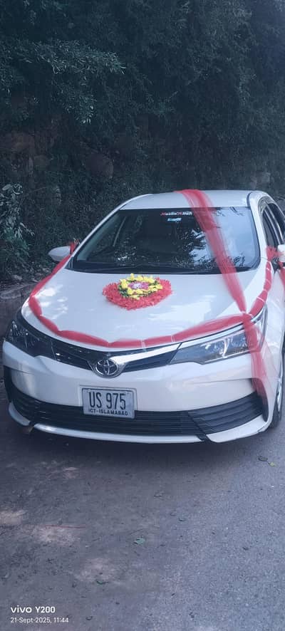 GLi cars are available for rent