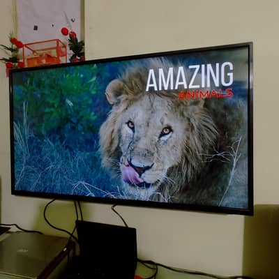 Led tv 50 inch full hd