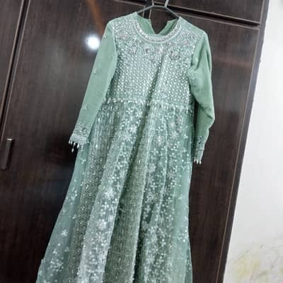 Full embroidered designer dress