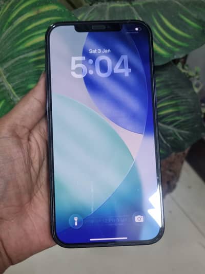 12 pro max 128 gb pta approved