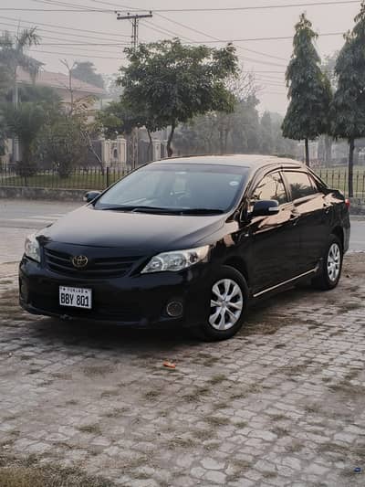 Corolla xli