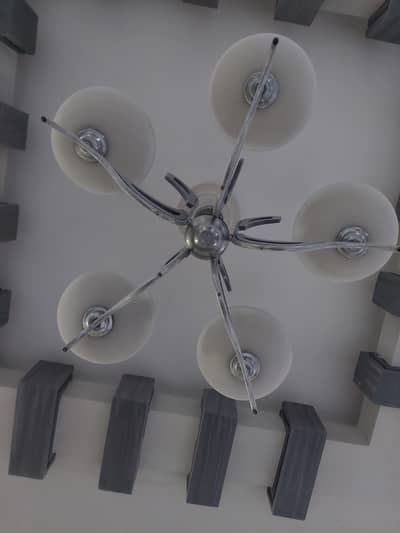 chandelier  and bulb holder