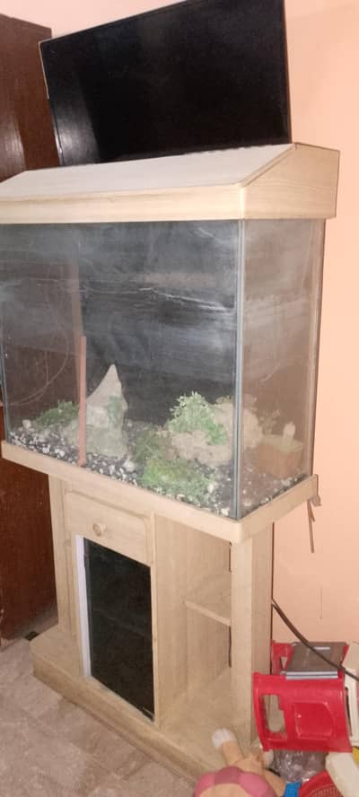 fish aquarium all good with accessories .