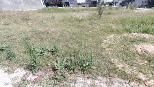 Corner E-18 Commercial Plot Sized 2403 Square Feet