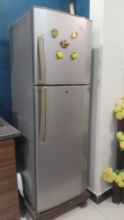 lg fridge