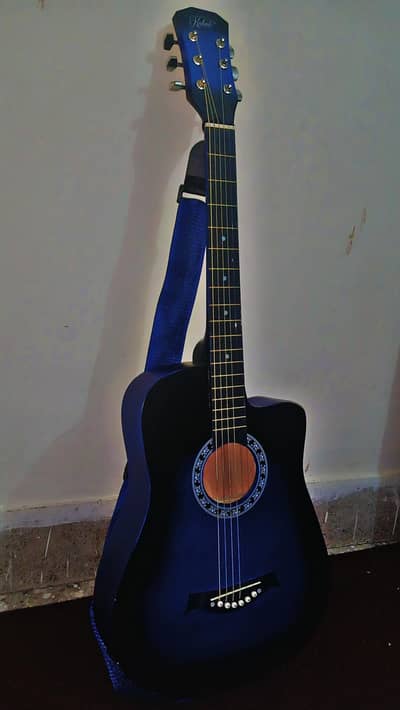 Acoustic Guitar