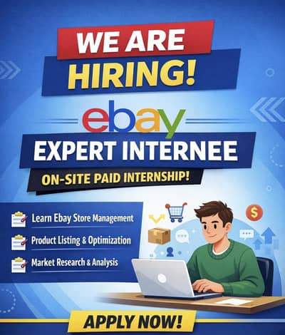 eBay Account Manager, eBay VA Fresher Can Also Apply For Learning