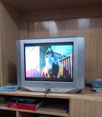Sony 21 inch tv