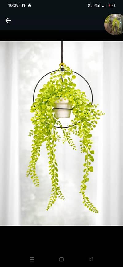 online work zero investment