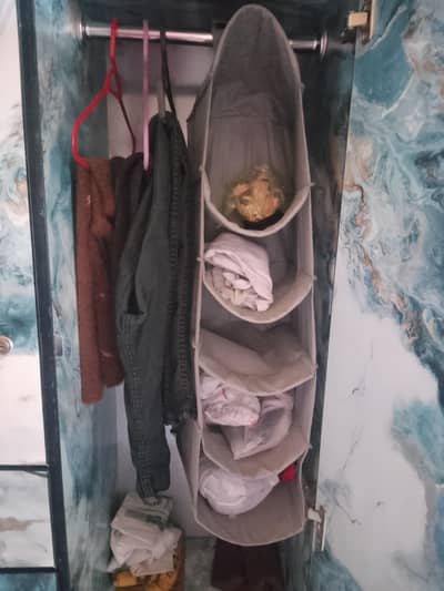 hanging bag wardrobe
