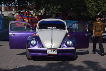 Volkswagen beetle