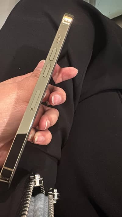 iPhone 13 pro PTA Approved