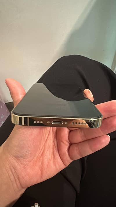 iPhone 13 pro PTA Approved