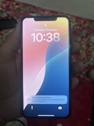 iphone 11 pro max. waterpack