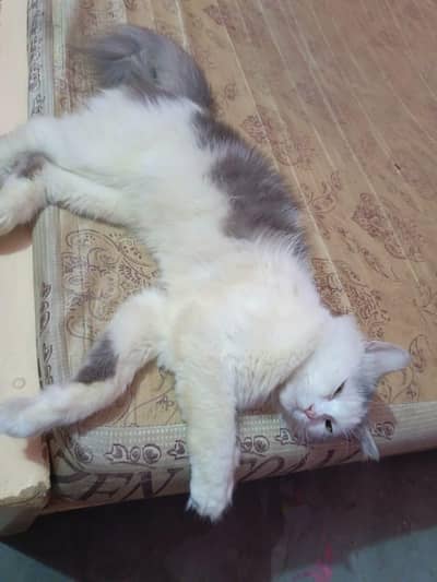 sath Mai Food bhii dedounga iska