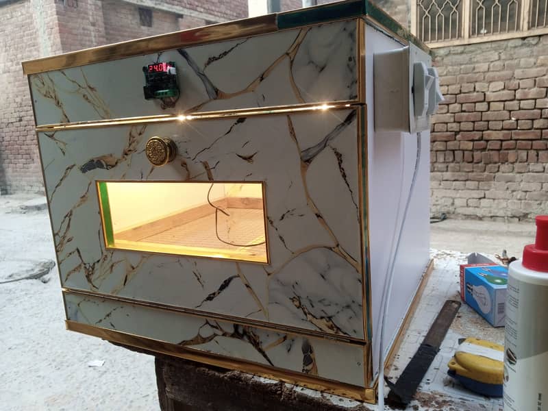 egg hatching machine 1