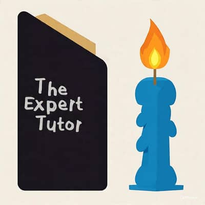 THE EXPERT TUTOR
