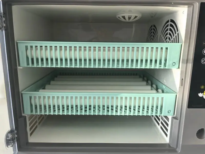 PARROTS 60 EGGS PREMIUM QUALITY AUTOMATIC INCUBATOR+BROODER DUAL POWER — photo 4