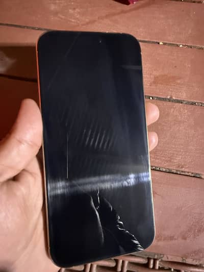 Apple I phone 16 pro max