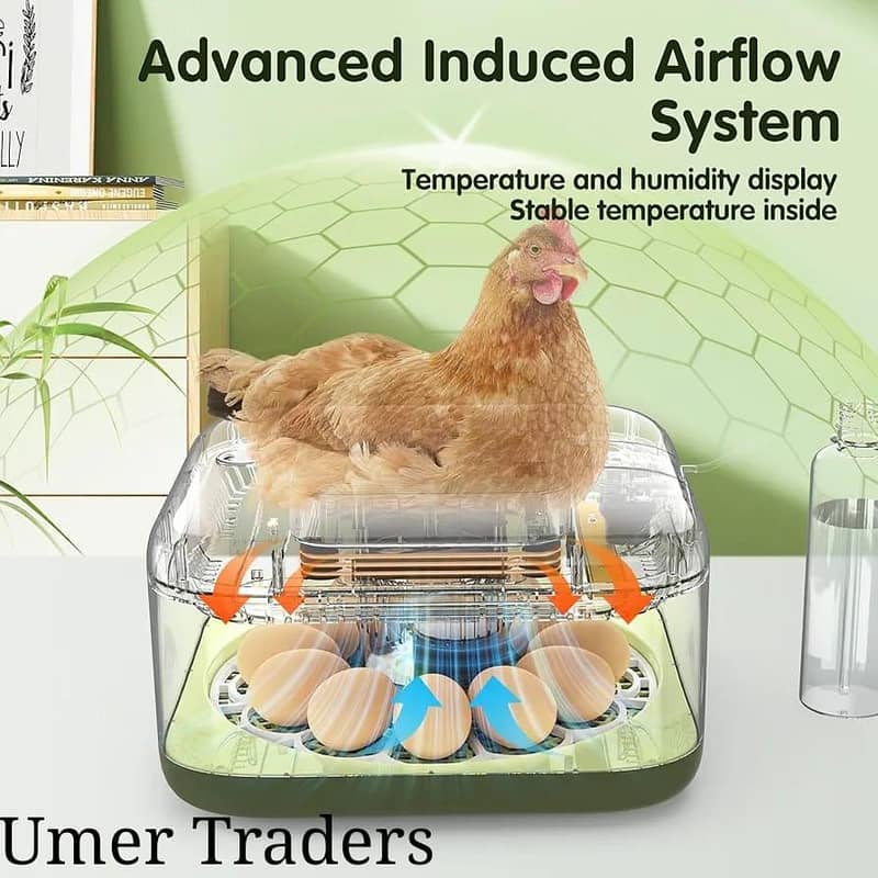 Automatic Egg Incubator | Egg Hatching Machine | Incubator | Brooder 9