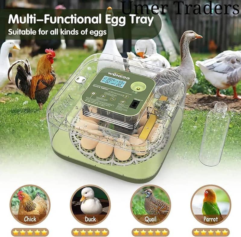 Automatic Egg Incubator | Egg Hatching Machine | Incubator | Brooder 15