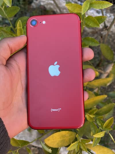 iPhone SE 2generation