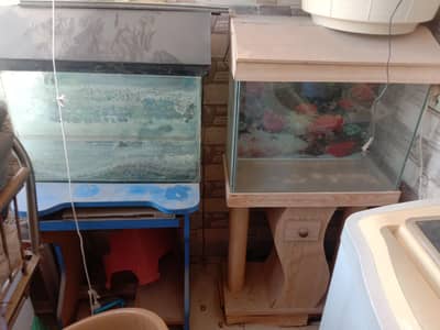 Aquariums for urgent sale