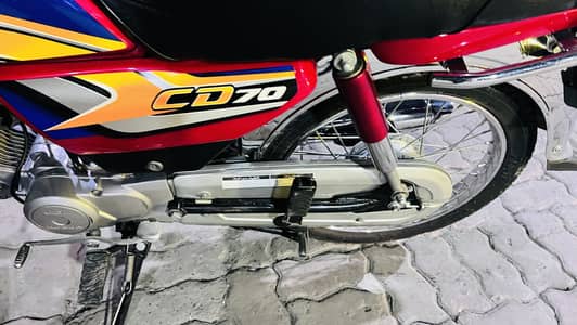 2025 70 lush condition