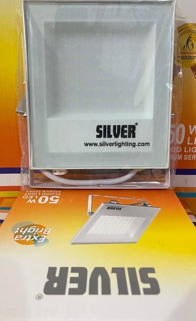 Silver Flood Light