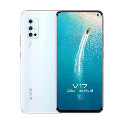 vivo v17 8 256