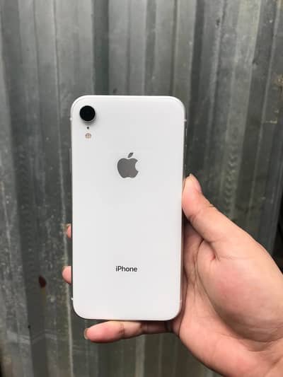 iphone XR