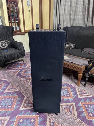 Bluetooth party speaker with wireless uhf mics