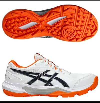 Asics shous
