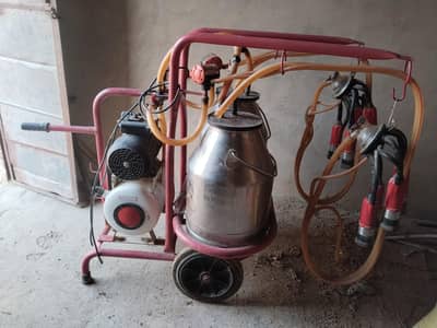 اصل ترک Milking Machine فروخت کے لیے | Double Bucket | Double Cluster