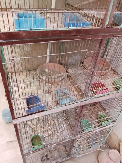 8 PORTION CAGE 10/10 CONDITION