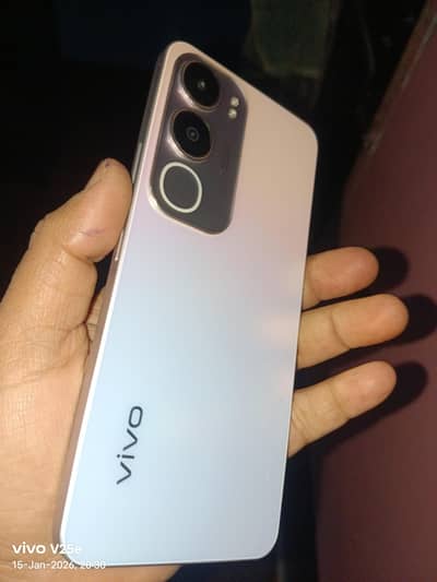 vivo y 19s