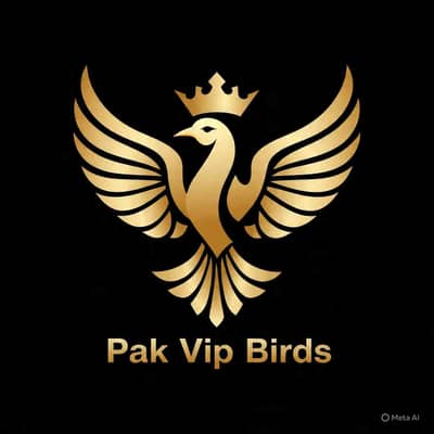 PAK VİP BİRDS 