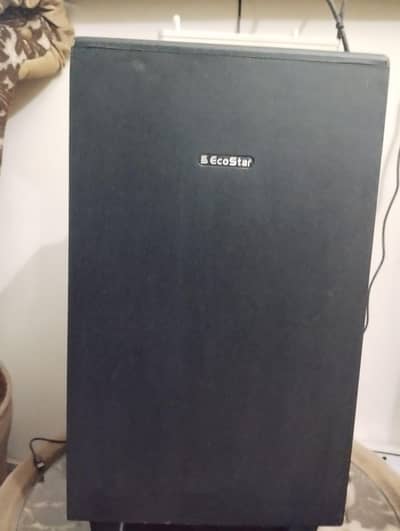 Ecostar speakers