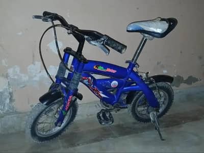 12 no cycle for sale