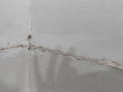 15 hens 6 male 09 female with cage sale