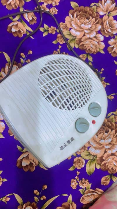 Electric fan heater