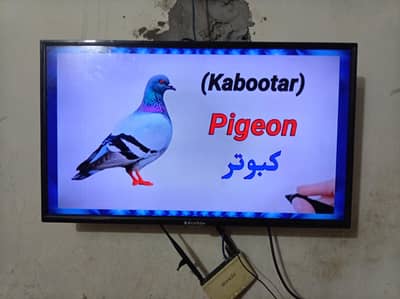 EcoSrat 32" LED Tv for Sale